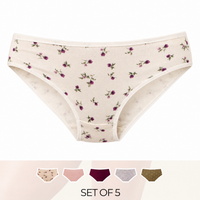 Pack of 5 - Assorted Bikini Briefs