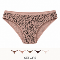 Pack of 5 - Assorted Bikini Briefs