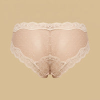 Lace Trim Mesh Briefs