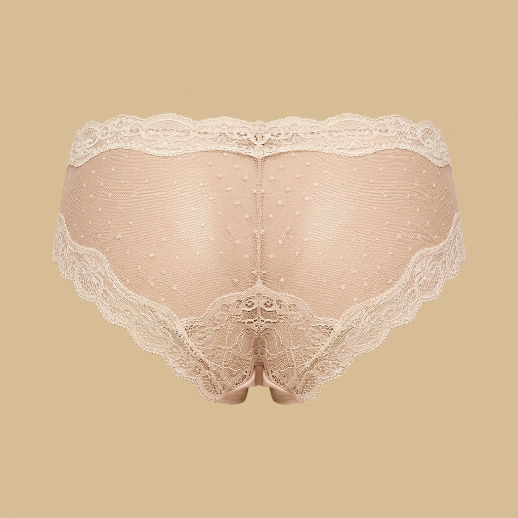 Lace Trim Mesh Briefs