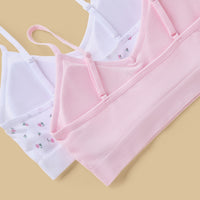 Pack of 2 - Ribbed Padded Trainer Bra