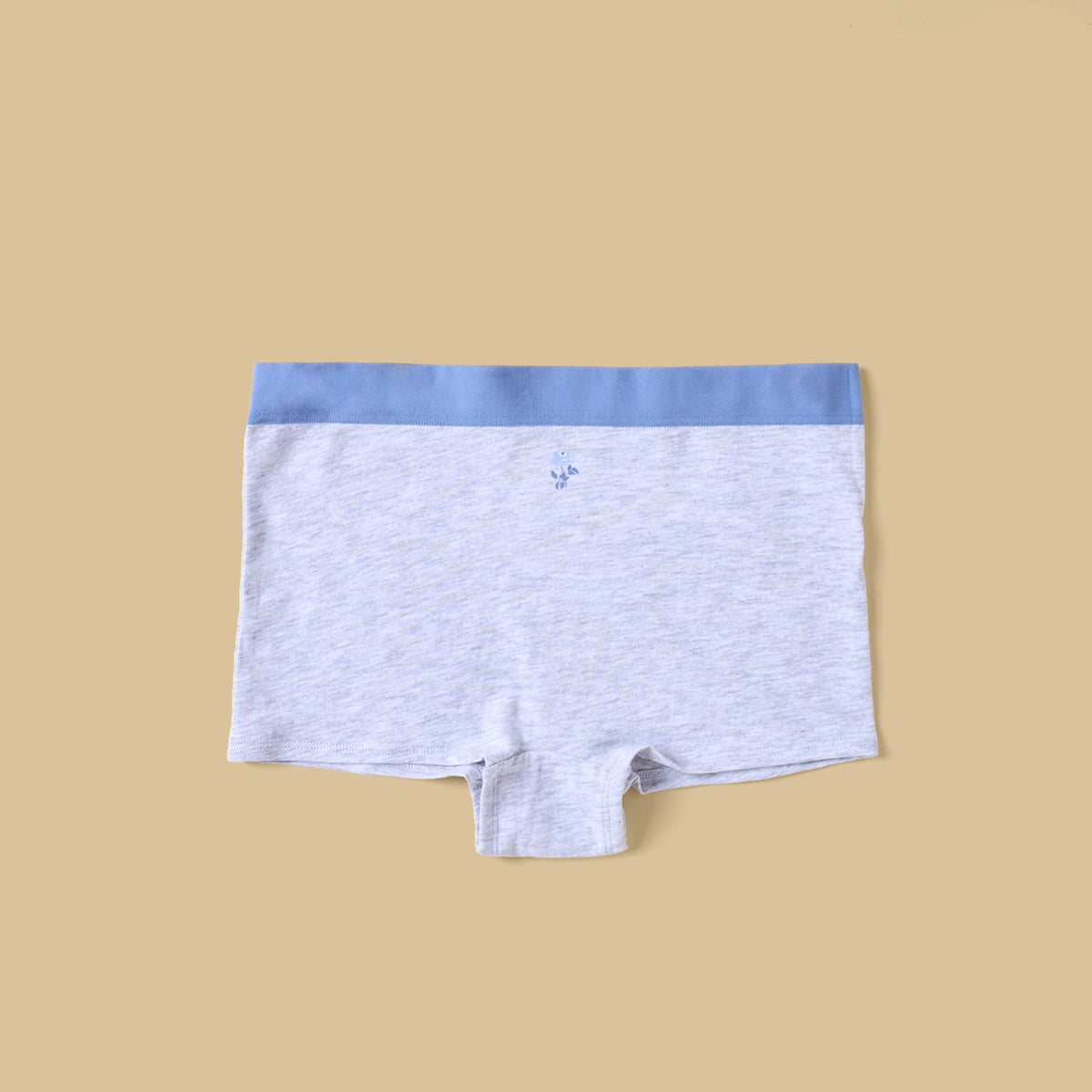 Pack of 5 - Assorted Print Briefs