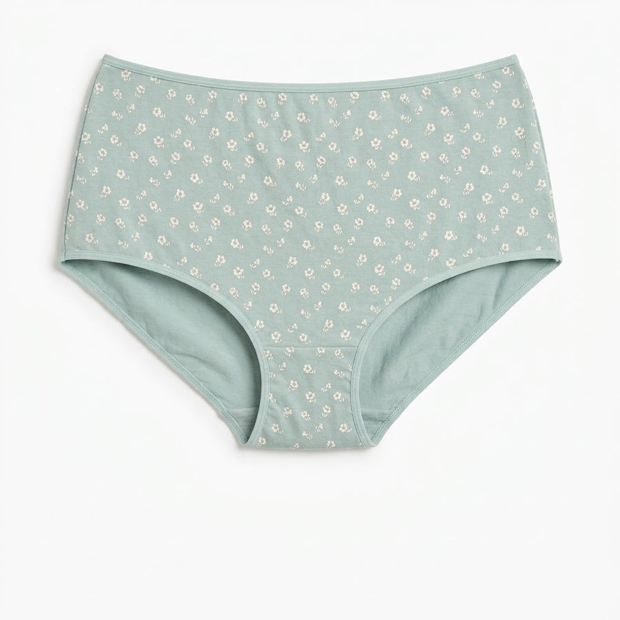 Pack of 5 - Assorted Full Briefs