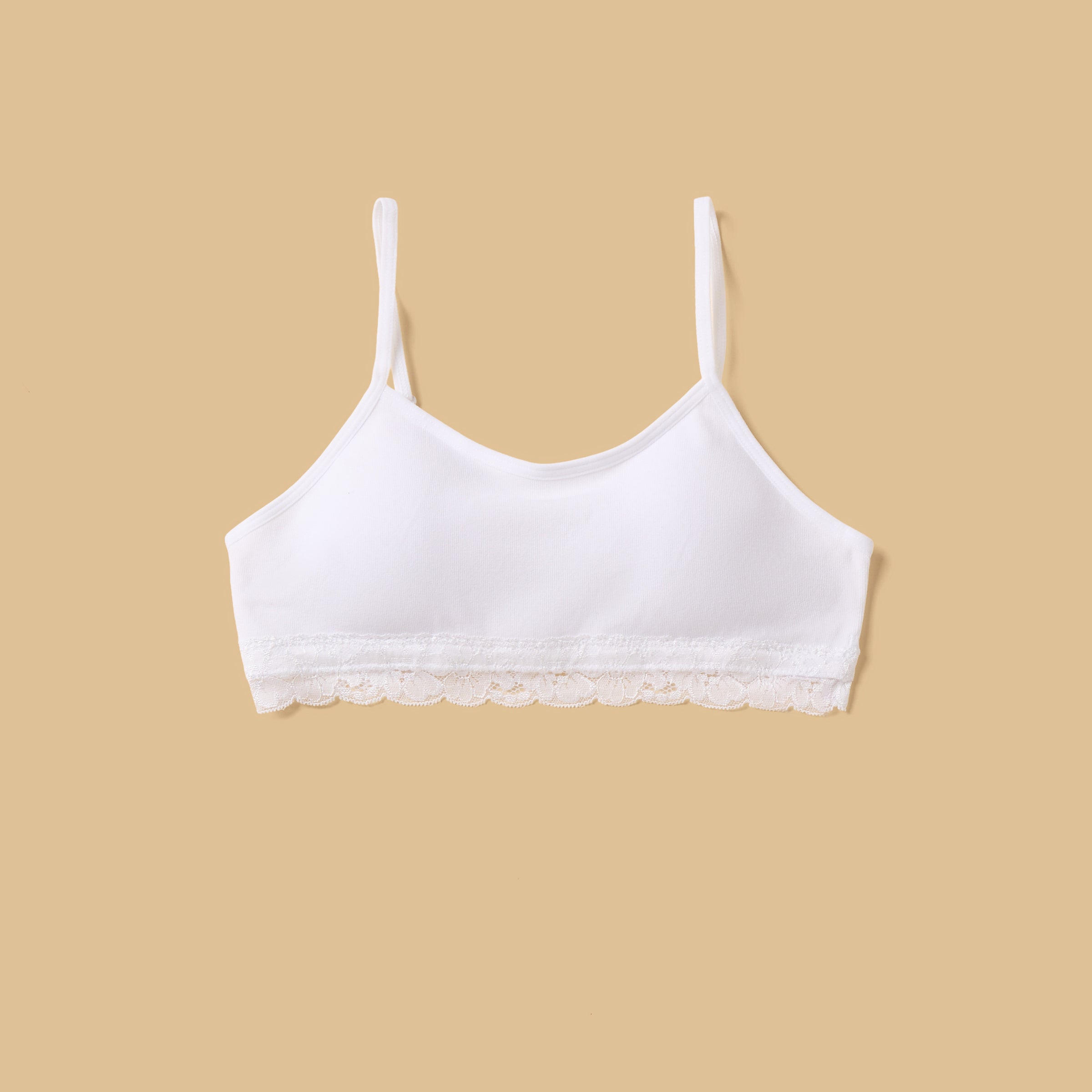 Pack of 2 - Lace Trim Seamless Padded Trainer Bra