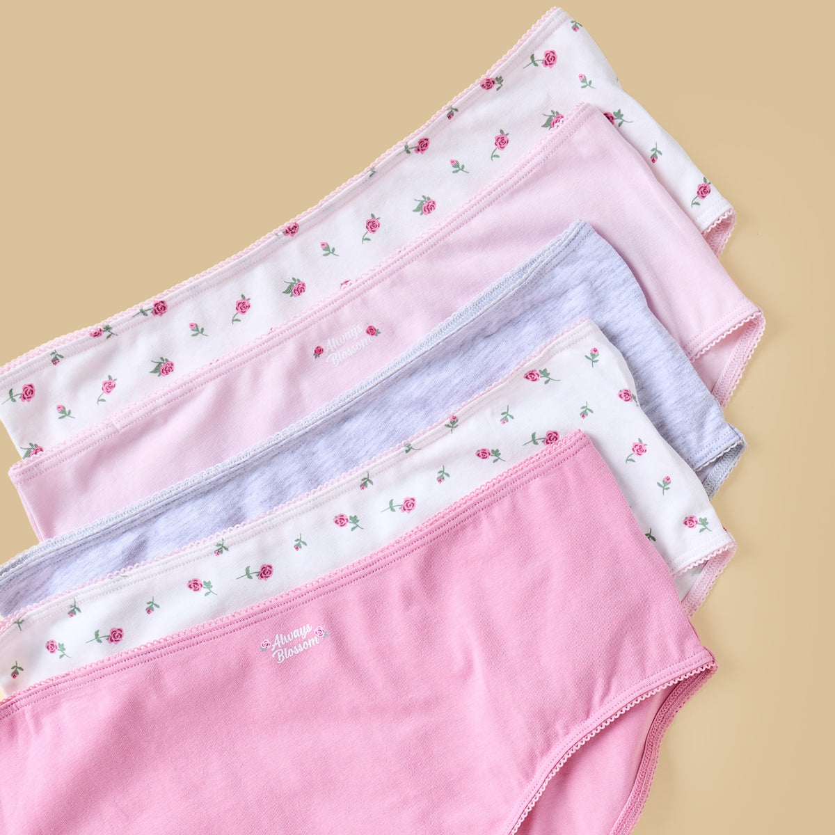 Pack of 5 - Assorted Briefs