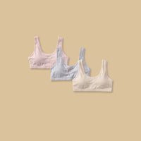 Pack of 3 - Assorted Padded Trainer Bra