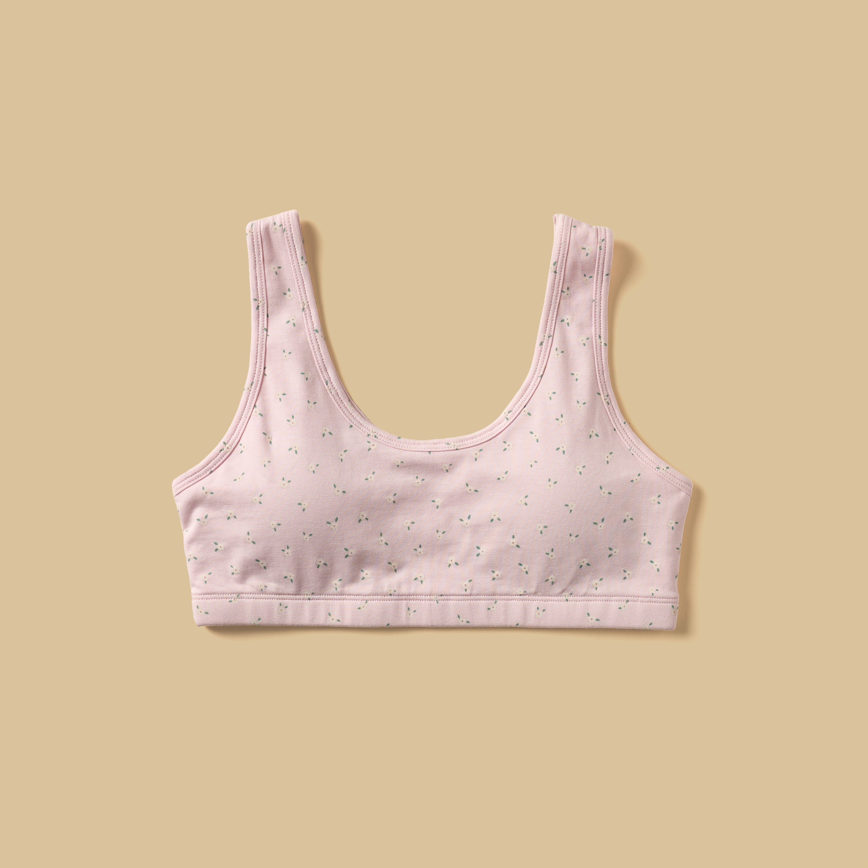 Pack of 3 - Assorted Padded Trainer Bra